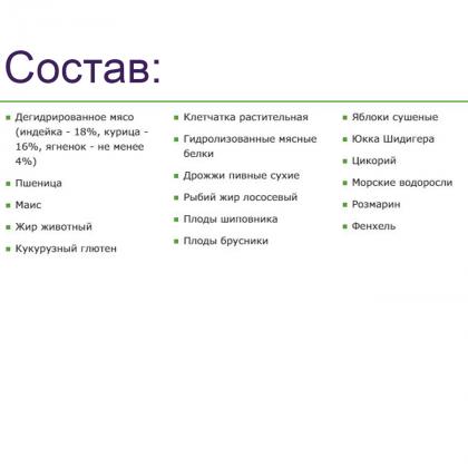 Корм сухой для котят Kitten Lamb&Wild Berries Ягненок с лесными ягодами, 0,4кг-1