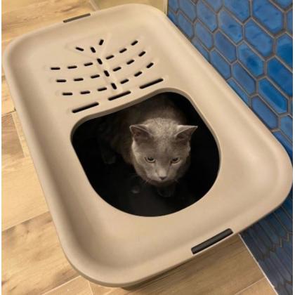 Туалет закрытый MICIA, 58*47*38см, вертикальный вход-2