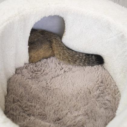 Лежанка с тоннелем круглая D59*h21см (МДФ, джут, мех искусственный) ангора-6