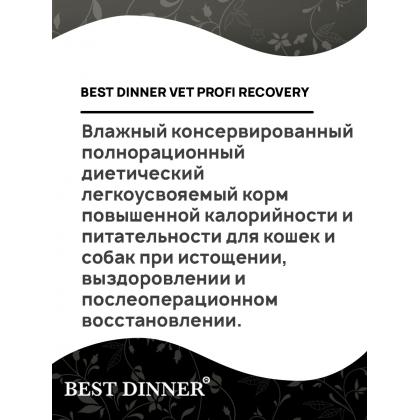 Паштет для кошек и собак Vet Profi Recovery, 100г-2