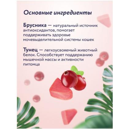 Крем-суп для котят и кошек для поддержки мочевыделительной системы с тунцом и брусникой, 75г-2