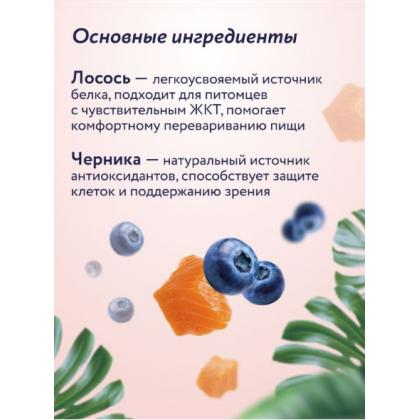 Крем-суп для котят и кошек для чувствительного пищеварения с лососем и черникой, 75г-2