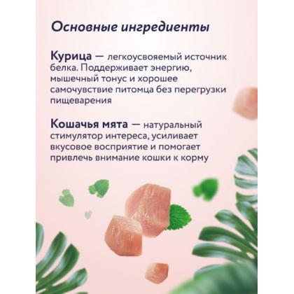 Крем-суп для котят и кошек для повышения аппетита и интереса к корму с курицей и кошачьей мятой, 75г-2