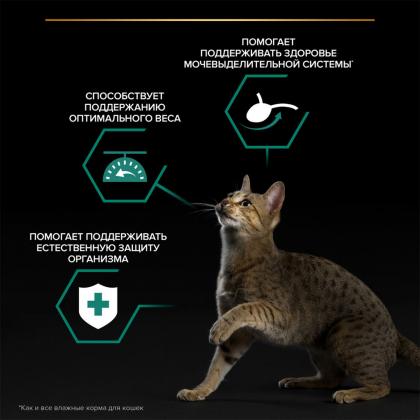 Паучи для взрослых стерилизованных кошек лосось в соусе, Sterilised MAINTENANCE, 85г-1