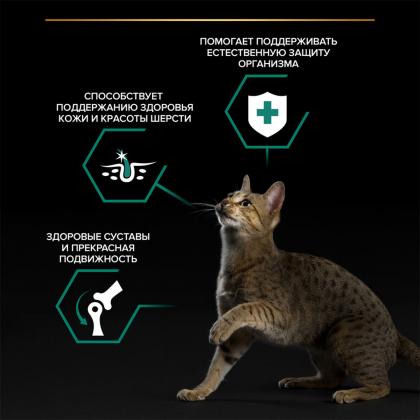 Паучи для взрослых кошек курица в соусе, MAINTENANCE, 85г-1