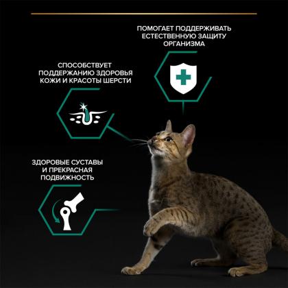 Паучи для взрослых кошек с говядиной в соусе, MAINTENANCE, 85г-2