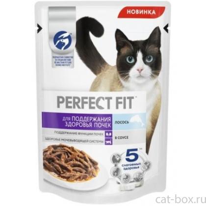 Пауч для кошек, для поддержания здоровья почек, с лососем в соусе-0