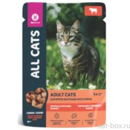 Пауч для кошек с тефтельками из говядины в соусе-0