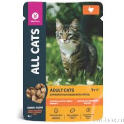 Пауч для кошек с тефтельками из индейки в соусе-0