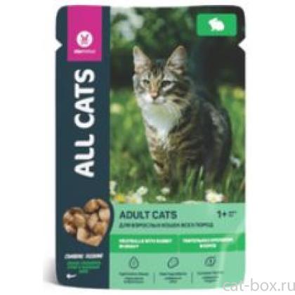 Пауч для кошек с тефтельками из кролика в соусе-0