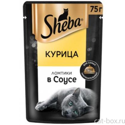 Паучи для кошек "Ломтики в соусе с курицей"-0