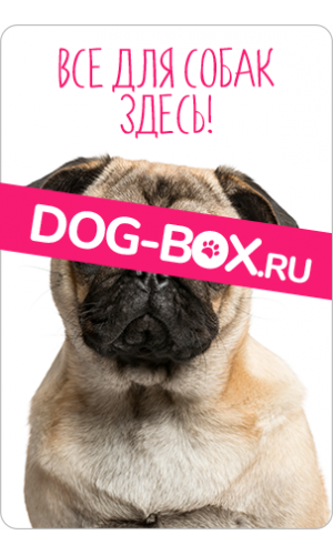 Dog-Box