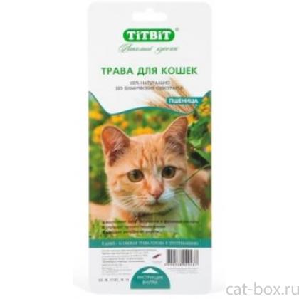 Травка для кошек (пшеница для проращивания)-0
