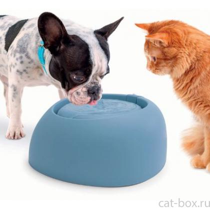 Поилка-фонтан для кошек и собак PET FOUNTAIN, 2 л, голубая-0