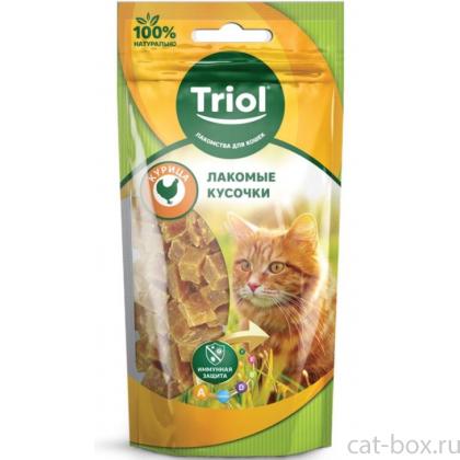 Лакомые кусочки из курицы для кошек (PT38)-0