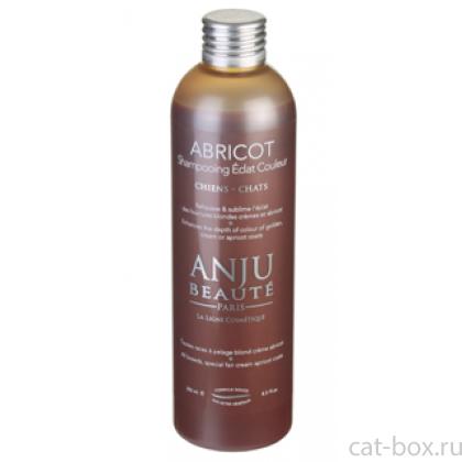 Шампунь "Переливы Кремового, Золотистого и Персиковых окрасов" (Abricot Shampooing), 1:5-0